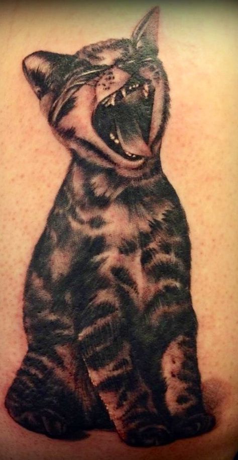 Like Linus the deftones cat done by Mark Skipper at TRX Tattoos and Piercing in St. Louis, MO. My new buddy on my arm. :) #ink #tattoo #cat #deftones Deftones Like Linus Cat, Deftones Cat Tattoo, Like Linus Deftones, Deftones Tattoos, Deftones Art, Deftones Cat, Deftones Tattoo, Silly Tattoos, The Deftones