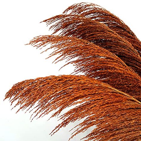 Plant For Living Room, Room Decor Brown, Brown Pampas, Floor Standing Vase, Feather Flowers, Natural Objects, Luxury Living Room Decor, Room Brown, Retro Farmhouse