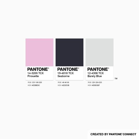 Pantone Color Chart, Banner Design Layout, Luxury Flower Bouquets, Color Palette Pink, Color Palate, Digital Art Illustration, Color Inspo, Instagram Design, Packaging Design Inspiration