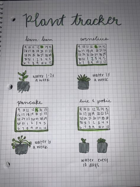 Bujo Plant Tracker, Plant Bullet Journal, Plant Watering Tracker, Beginner Bullet Journal, Plant Tracker, Bullet Journal For Beginners, Box Garden, Journal Organization, Plant Watering