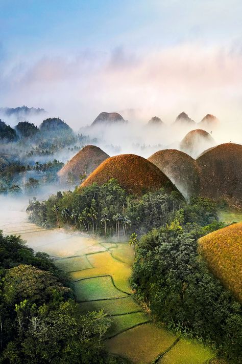 Bohol's Chocolate Hills in the Philippines The best travel photos of 2019 | CN Traveller Chocolate Hills, Bohol Philippines, World Most Beautiful Place, Bohol, Philippines Travel, Places In The World, Palawan, Beautiful Places In The World, Beautiful Places To Travel