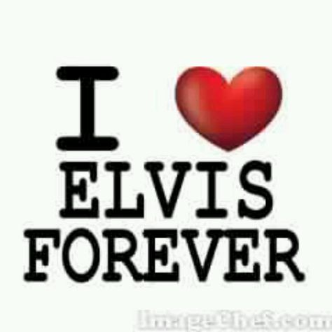 . I Love Elvis, Elvis Widget, Elvis Presley Love Quotes, Elvis Sayings Words, Elvis Memes, It's Now Or Never, King Of Music, Still In Love, Elvis Presley Photos