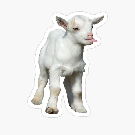 White Aesthetic Stickers, Goat Sticker, Sticker Design Inspiration, Baby Goat, Stickers Redbubble, Sticker Funny, Instagram Ideas Post, Baby Goats, Glitch Art