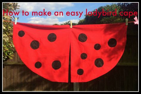 Lovely summer craft idea for children: ladybird cape                                                                                                                                                                                 More Ladybird Costume, Carnaval Diy, Ladybug Wings, World Book Day Ideas, Diy Cape, Bug Costume, Beast Costume, World Book Day Costumes, Ladybug Costume