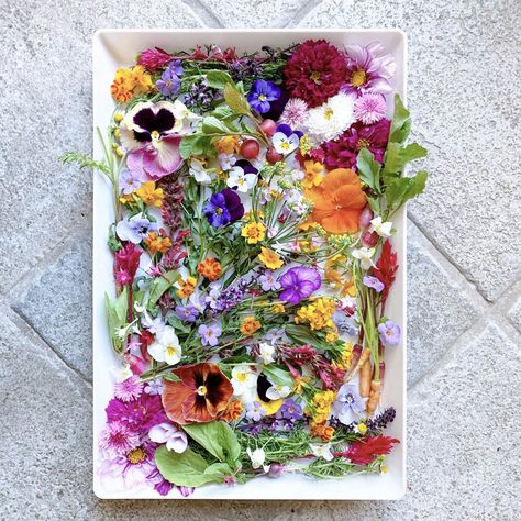 A guide to edible flowers! Broccoli Flower, Salad Caprese, Edible Flower Garden, Edible Flowers Recipes, Edible Bouquets, Pollen Allergies, Grazing Tables, Eat The Rainbow, Flower Food