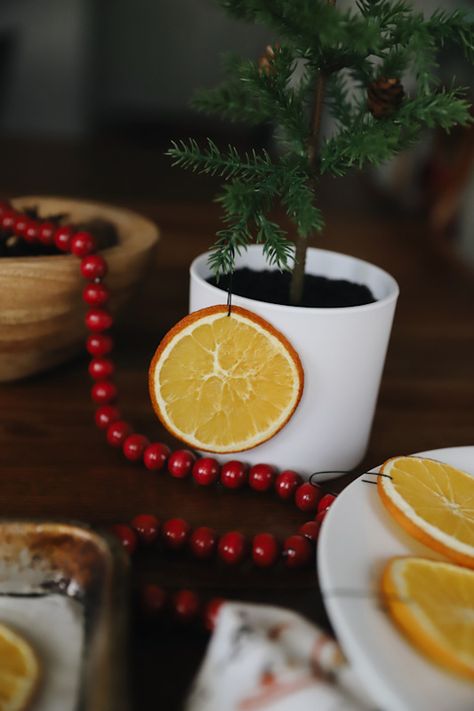 Easy DIY | How to Make Dried Orange Ornaments - The Quick Journey Orange Slice Christmas, Dried Orange Ornaments, Orange Slice Ornaments, Simple Christmas Diy, Orange Christmas Decor, Classic Christmas Decor, Salt Dough Christmas Ornaments, Orange Ornaments, A Simple Christmas