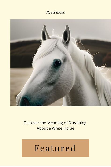 White horse's head in profile against a soft-focus background, complementing an article about the symbolism of dreaming about a white horse. Dream Analysis, Rose Meaning, Dream Symbols, Dream Interpretation, White Horses, Spiritual Meaning, Spiritual Awareness, Emotional Connection, White Horse