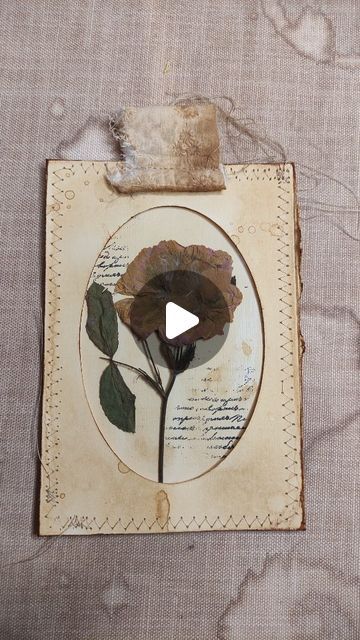 𝕰𝖋𝖋𝖎𝖊'𝖘 𝕬𝖗𝖙 𝕻𝖑𝖆𝖈𝖊 on Instagram: "• Specimen Card with a Window •  Coffee dye your card to achieve a grungy and vintage aesthetic, glue down your dry flowers or leaves and sew it together with an acetate sheet between the cards to create a lovely specimen. Add a little bit of stamping for an extra interest in the background. Sew a piece of fabric for a tab and there you have it. A fast and beautiful project for your Sunday. Give it as a gift or instead of a card or add it in your junk journal or use it as a bookmark or frame it.. enjoy crafting and unicycling.  Make something today. :)  Thank you for watching. 🖤 Effie xxx . . . . Music credit: @las_eras 🌹  https://open.spotify.com/track/4uYpFy11OHpZHVvrHLP9BN?si=JtkBhKOJTrWBAQ6edxpovA . . . . #cardmaking #handmadecards #hand Aesthetic Glue, Diy Ephemera, Coffee Dye, Junk Journal Cards, Window Envelopes, Art Place, Journal Tags, Junk Journal Ephemera, Dry Flowers