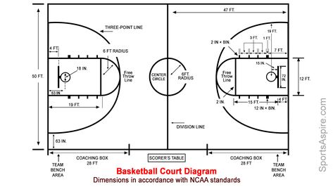 A Detailed Diagram of the Basketball Court - Sports Aspire Basketball Court Drawing, Basketball Court Measurements, Simple Basketball Plays, Court Drawing, Pageant Questions, Basketball Painting, Basketball Court Layout, Basketball Drawings, Outdoor Basketball Court