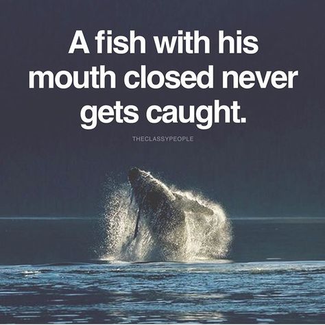 A fish with his mouth closed never gets caught Classy People Quotes, Big Mouth Quotes, Mouth Quote, Soulful Quotes, Classy People, Hard Quotes, World Quotes, Love Quotes Wallpaper, Soul Quotes