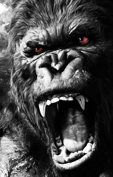 190+ Magnificent Gorilla Tattoo Designs With Meanings (2023) - TattoosBoyGirl Wallpaper Dog Aesthetic, Animals And Pet Supplies, Dog Tattoo Ideas, Gorilla Tattoo, Snapback Caps, Hook And Loop, Tattoo Designs, Baseball