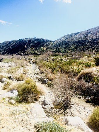 THE 15 BEST Things to Do in Desert Hot Springs - 2020 (with Photos) - TripAdvisor Desert Hot Springs California, Pacific Coast Trail, Hot Springs California, San Andreas Fault, 1 Day Trip, Desert Hot Springs, Honeymoon Spots, What To Do Today, Weather Underground