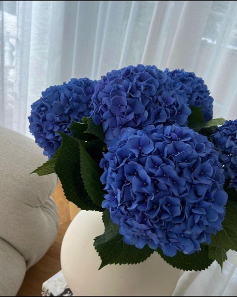 Blue Hydrangea Bouquet, Blue Hydrangea Flowers, Fancy Flowers, Peonies And Hydrangeas, Blue Hydrangeas, Hydrangea Bouquet, Boquette Flowers, Nothing But Flowers, Flowers Bouquet Gift