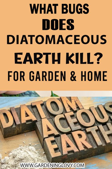 What is Diatomaceous Earth and How To Use Diatomaceous Earth? If you are wondering then stay tunes, we are going to learn all the benefits and correct uses of Diatomaceous Earth in detail.#flowerplants #flowercare #urbangardening #mordengardeningecosystems Diamataceous Earth Benefits, Diatameous Earth Benefits, Uses For Diatomaceous Earth, Benefits Of Diatomaceous Earth, How To Use Diatomaceous Earth, Diotamacous Earth Uses, Diatomaceous Earth Garden, Diatomaceous Earth Benefits, Food Grade Diatomaceous Earth