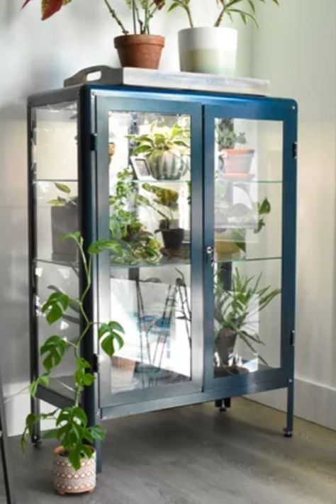 There's no denying how charming IKEA greenhouse cabinets are. If you have one or are interested in creating your own, here are 7 products we recommend having. #IKEA #GreenhouseCabinet #Plants #PlantCabinet #TheSpruce Ikea Plant Cabinet Greenhouse, Curio Cabinet Plants, Greenhouse Bookshelf, Plant China Cabinet, Diy Ikea Greenhouse, Glass Cabinet For Plants, Ikea Green House Cabinet, Greenhouse Ikea Cabinet, Ikea Cabinet Plants