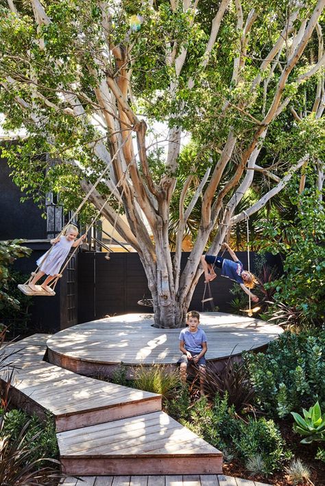 Venice Beach House, Venice House, California Backyard, Ficus Tree, Natural Playground, Family Outdoor, Australian Design, Backyard Landscaping Designs, House Designs