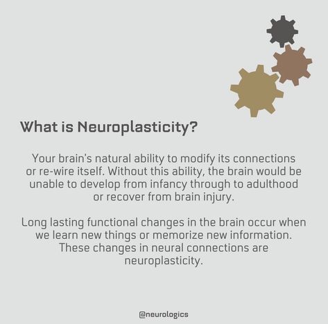 Brain Plasticity Neuroplasticity, Neural Plasticity, Nlp Quotes, Brain Map, Brain Mapping, Neural Connections, Learning Differences, Health Psychology, Gucci Heels