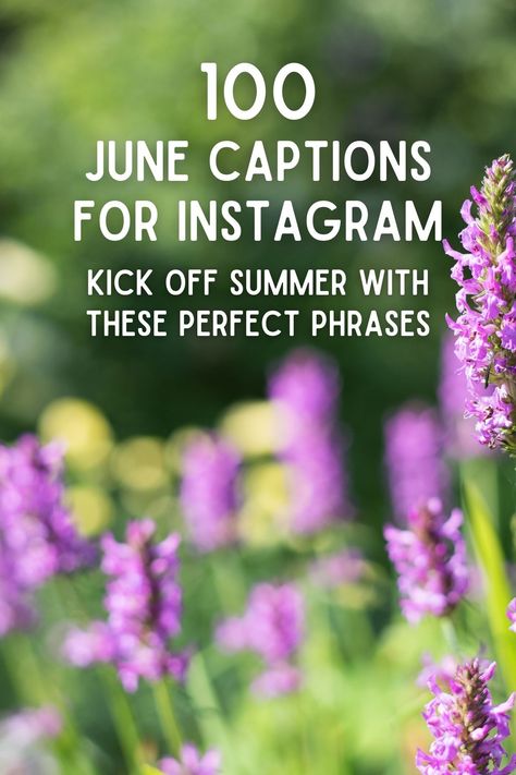 100 June Captions for Instagram: Kick Off Summer with These Perfect Phrases Cottage Captions For Instagram, June Dump Captions, June Captions Instagram, June Captions, Pet Puns, Summertime Quotes, Summer Instagram Captions, Senior Year Quotes, Summer Captions