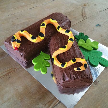 Easy Snake Cake Ideas, Snake Cakes For Kids, Snake Birthday Cake, Birthday Cake Template, Lizard Cake, Snake Cake, Snake Cakes, Diy Snake, Snake Birthday