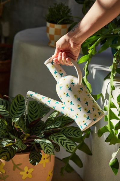 Daisy Watering Can | Urban Outfitters Watering Can Ceramic, Ceramic Watering Can, Regency England, Plant Watering Can, Can Water, Indoor Watering Can, Shadow Plants, Plant Decor Indoor, Ceramics Pottery Art