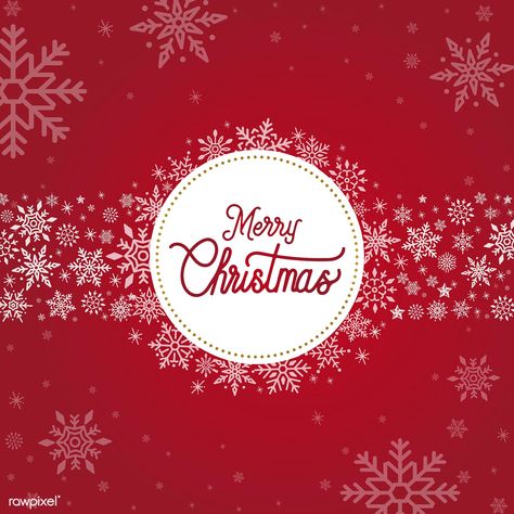 Merry Christmas typography design vector | free image by rawpixel.com Christmas Typography Design, Christmas Card Wreath, Card Wreath, Christmas Facebook Cover, Backgrounds Christmas, Merry Christmas Typography, Space Vector, Christmas Backgrounds, Christmas Typography