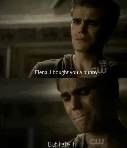 Tvd Memes Funny Hilarious, Funny Tvd Quotes, Niklaus Mikaelson Quotes, Stefan Tvd, Vamp Diaries, Vampire Diaries Memes, The Vampire Diaries Characters, The Vampire Diaries 3, Vampire Diaries Movie