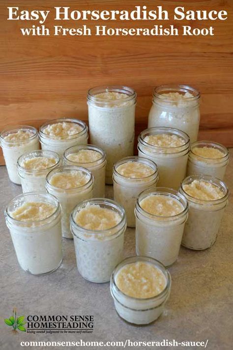 Homemade Horseradish Sauce, How To Make Horseradish, Homemade Horseradish, Horseradish Recipes, Horseradish Cream Sauce, Creamy Horseradish Sauce, Fresh Horseradish, Horseradish Cream, Canning Food Preservation