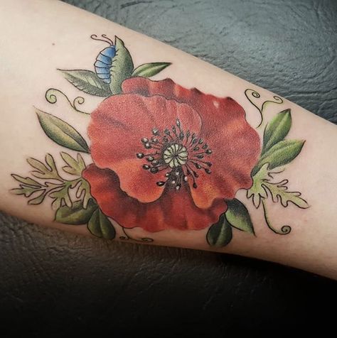 Wizard Of Oz Poppy Tattoo, Polish Poppy Tattoo, Large Poppy Tattoo, Pink Poppy Tattoo, Poppy And Rose Tattoo, Poppy Tattoo Design, Traditional Poppy Tattoo, Black Poppy Tattoo, Poppy Tattoo Ideas