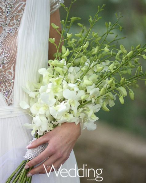 Glamorous Arm Sheaf/Presentation Bridal Bouquet Of White Dendrobium Orchids + Buds>>>> Orchids And Moonlight, Orchids Bouquet, White Orchid Bouquet, Orchids Wedding, White Dendrobium Orchids, Dendrobium Orchid, Cascading Wedding Bouquets, Orchid Bouquet, Wedding Bouquets Bride