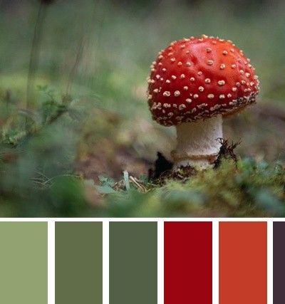 Daycare Colors Schemes, Mushroom Colour Palette, Mushroom Color Palette, Palette Garden, Mushroom Core, Mushroom Paint, Color Schemes Colour Palettes, Color Challenge, Forest School