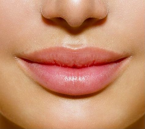 Mouth References, Anatomy Female, Human Features, Female Anatomy, Beautiful Lips, Anatomy Reference, Lipstick Shades, Anatomy, Lips