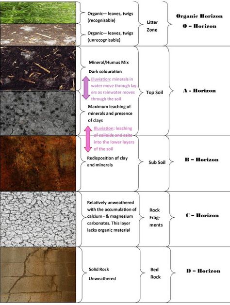 Soil Profiles And Soil Properties ~ Learning Geology Soil Profile, Biology Plants, American Midwest, Soil Texture, Physical Geography, Agriculture Education, Soil Testing, Environmental Education, Soil Layers