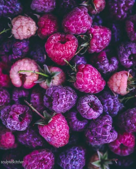 Who wants some fresh berries? 😍 - Picture by @sculptedkitchen 🌱 - #fruity #fruit #fruitlover #fruitlovers #blueberries #fruitlove #obst… On Instagram, Blue, Instagram