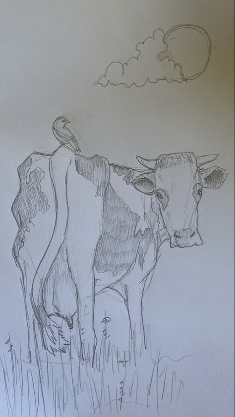 Potato Drawing Cute, Cow Drawing Easy, Picnic Painting, Potato Drawing, Drawing Of A Bird, Cow Illustration, Cow Drawing, Dairy Cows, A Cow