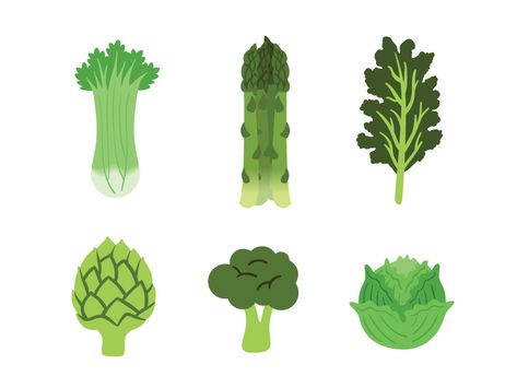 Vegetables Illustration Drawing, Veggies Illustration, Graphic Design Vegetables, Vegetables Graphic Design, Vegetable Vector Illustration, Food Illustration Design, Veggie Art, Vegetable Illustration, Green Veggies