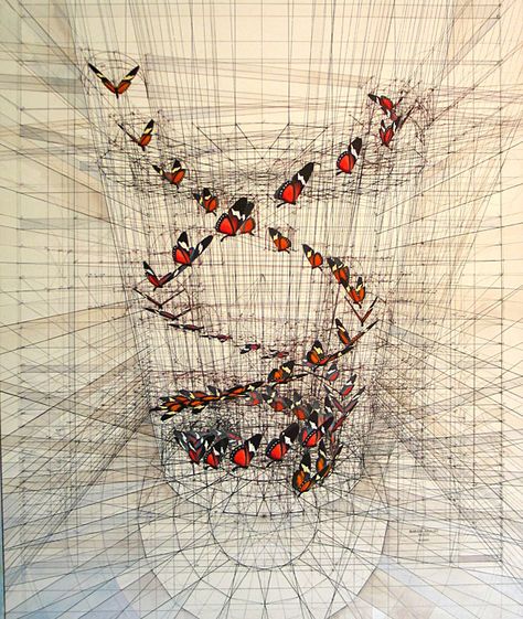 venezuelan artist Rafael Araujo Botanisk Illustration, Fibonacci Spiral, Drawing Table, Math Art, Geometry Art, Scientific Illustration, Pacific Rim, Technical Drawing, Pen Drawing