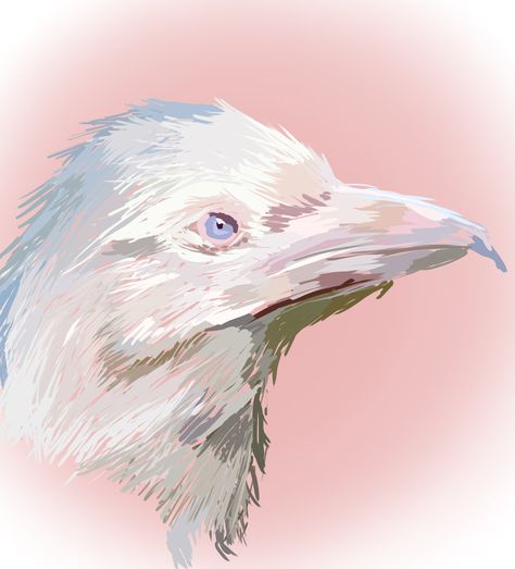 White Raven Tattoo, White Crow Art, White Raven Art, Raven Animal Art, Albino Raven Aesthetic, Albino Raven Art, Albino Raven, Raven Monster Fantasy Art, Raven Artwork