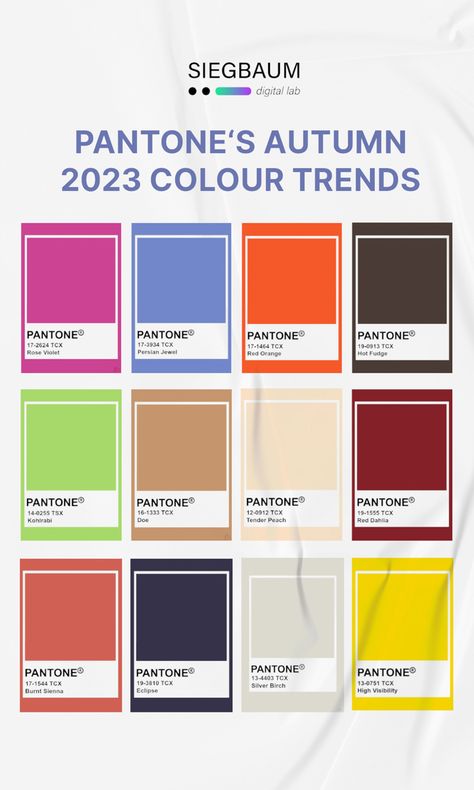 Instagram Design || Trendy colours || Fashion || SMM 2023 Colour Trends, Pantone Color Chart, Colour Trends, Autumn 2023, Silver Birch, Hot Fudge, Graphic Design Trends, Instagram Design, Pantone Color