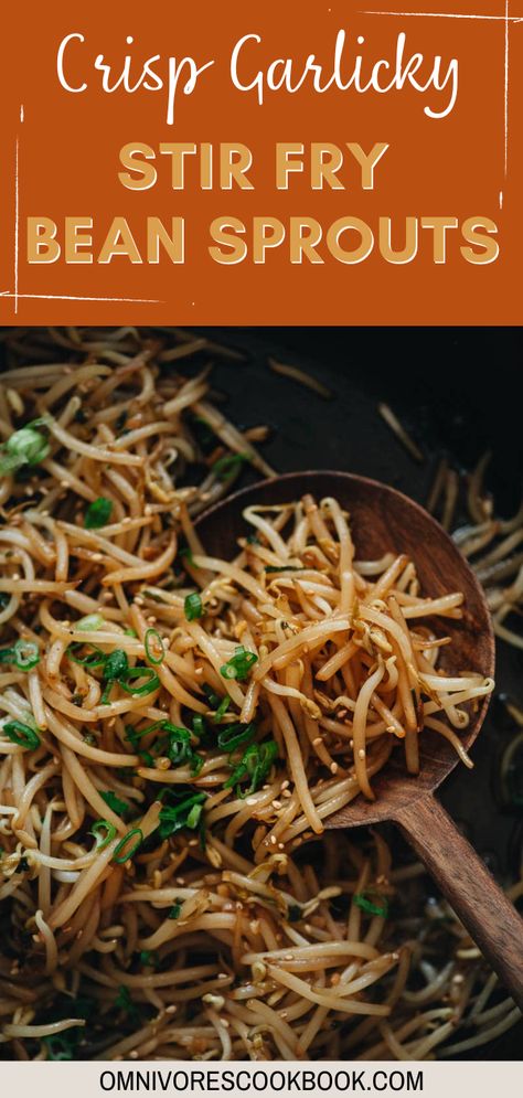 Enjoy the simplicity and crunch of Bean Sprout Stir-Fry! This quick and easy recipe features fresh bean sprouts sautéed with a flavorful sauce, resulting in a delightful and healthy side dish or meal. Bean Sprout Stir Fry, Stir Fry Bean Sprouts, Recipes Using Beans, Bean Sprout Recipes, Fried Beans, Bean Sprout, Asian Stir Fry, Healthy Side Dish, How To Cook Beans