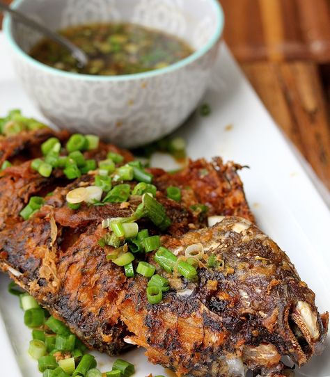 Asian Tilapia Recipes, Tilapia Asian Recipes, Asian Tilapia, Whole Tilapia Recipes, Tilapia Sauce, Ginger Scallion Salmon, Ginger Scallion Fish, Crispy Tilapia, Sichuan Fish Recipes