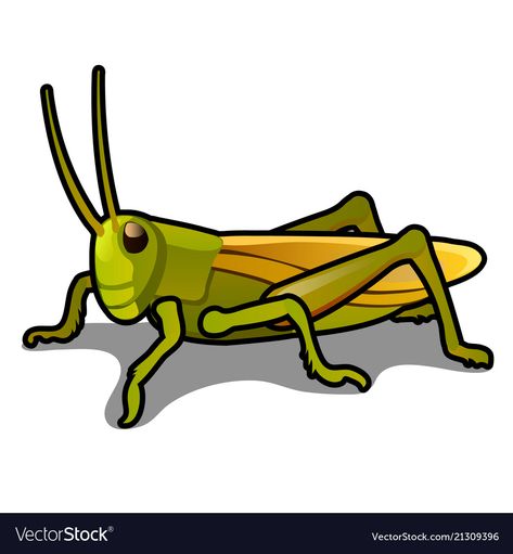 Grasshopper Cartoon, Bug Cartoon, Green Grasshopper, Author Dreams, Bugs Life, Insect Collection, Cartoon Fish, Grasshoppers, Cat Reading