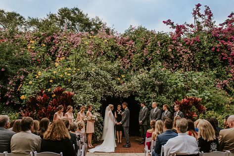 Sunken Garden Wedding St Petersburg, Sunken Gardens Wedding, Sunken Gardens, St Pete Wedding, Sunken Garden, Weddings By Color, Garden Nursery, Gardens Wedding, Enchanted Garden