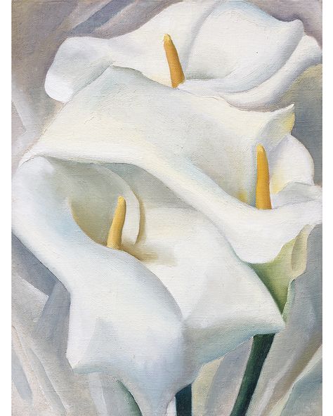 O'Keeffe was initially attracted to flowers due to their intricate forms and colors. She experimented with forms and approaches before settling on a close-up approach in depicting them, which brought out the delicate details and forms of each flower.  Georgia O'Keeffe. Calla Lilies, 1924. Oil on canvas. Private collection. © Georgia O'Keeffe Museum Georgia O'keefe Art, Georgia O Keeffe Paintings, Weisman Art Museum, O Keeffe Paintings, Georgia Okeefe, Foto Transfer, Summer Color Palette, Georgia O Keeffe, O Keeffe