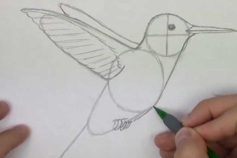 Easy To Draw Hummingbird, Drawing Of Hummingbird, Painting Of Hummingbird, How To Draw Hummingbird Step By Step, Diy Hummingbird Painting, Step By Step Hummingbird Drawing, Painting Hummingbirds Ideas, Painting A Hummingbird, How To Draw A Hummingbird Easy