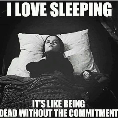 Humor Whatsapp, I Love Sleep, Great Memes, Memes Sarcastic, Fresh Memes, Laugh Out Loud, Memes Humor, Humor Memes, Six Feet Under