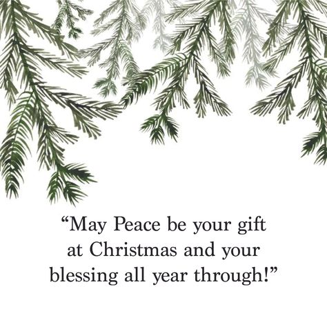 "May Peace be your gift at Christmas and your blessing all year through." Peace Poems, Christmas Peace, Rock Quotes, Christmas Phrases, Christmas Blessings, Peace Quotes, Motivational Words, Christmas Quotes, Paint Ideas