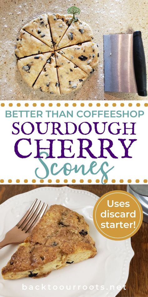 These really are better than what you'll find at your favorite coffee shop! And they are the perfect thing for your discard starter! Sourdough Scones, Cherry Scones, Sourdough Starter Discard Recipe, Sourdough Starter Recipe, Baking Stone, Sourdough Baking, Sourdough Bread Recipe, Starters Recipes, Sourdough Recipes