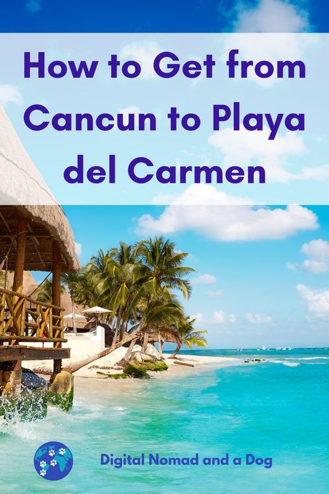 Planning to travel from Cancun to Playa del Carmen? This guide covers the best options, including buses, private transfers, and rental cars. Find the easiest way to get from Cancun to Playa del Carmen hassle-free. Cancun Airport, Toll Road, Living In Mexico, Airport Transportation, Taxi Service, Cozumel, Rent A Car, Digital Nomad, Riviera Maya