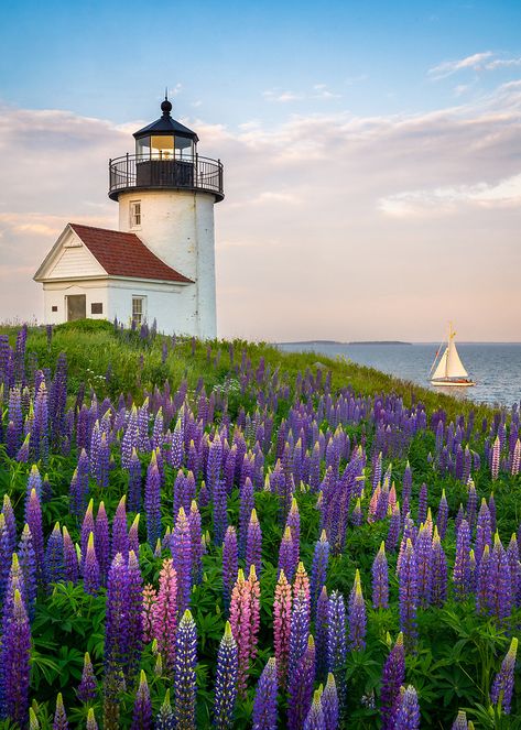 Love, Maine | Coast of Maine Photography by Benjamin Williamson Coastal Cottagecore, Maine Photography, Lighthouses Photography, New England States, Lighthouse Pictures, Maine Coast, Beautiful Lighthouse, Traditional Landscape, Cottagecore Aesthetic