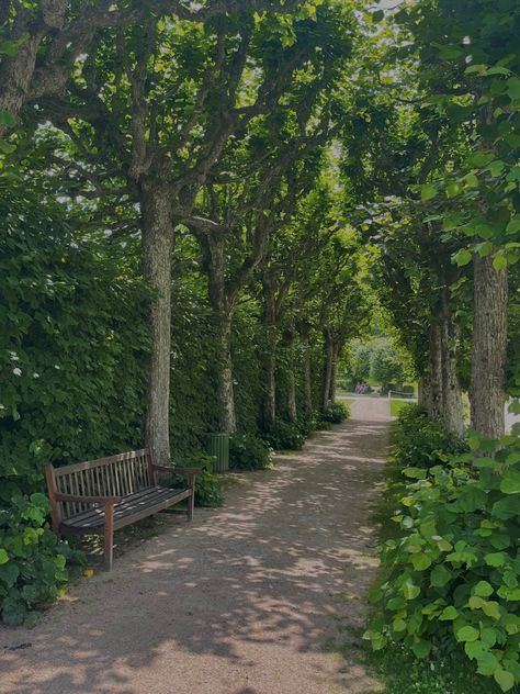 Spring Park Aesthetic, Walking Path Aesthetic, Walking Park Aesthetic, Park Background Aesthetic, Summer Park Aesthetic, Forest Summer Aesthetic, Park Green Aesthetic, Park Astethic, Park Walk Aesthetic